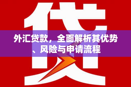 资中外汇贷款，全面解析其优势、风险与申请流程