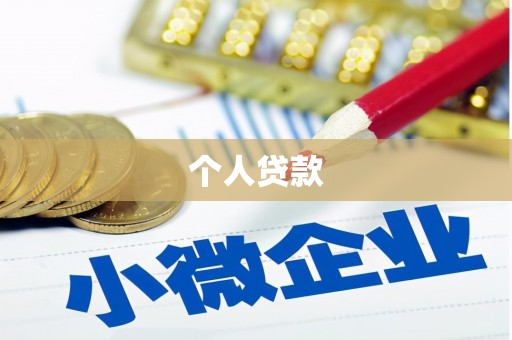 资中个人贷款
