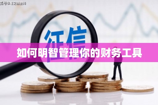 资中如何明智管理你的财务工具