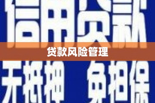 资中贷款风险管理