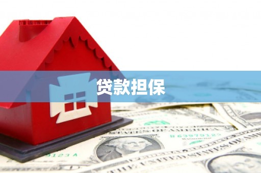 资中贷款担保