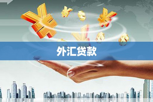 资中外汇贷款