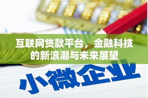 资中互联网贷款平台，金融科技的新浪潮与未来展望