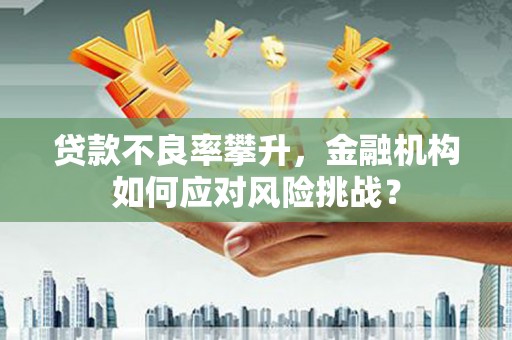 资中贷款不良率攀升，金融机构如何应对风险挑战？