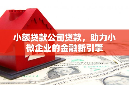 资中小额贷款公司贷款，助力小微企业的金融新引擎