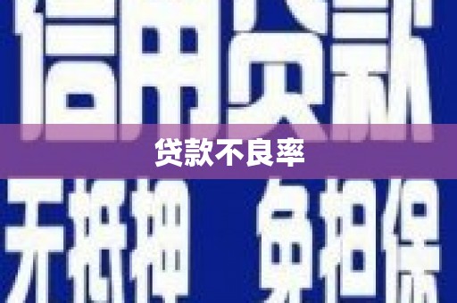 资中贷款不良率