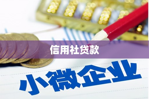 资中信用社贷款