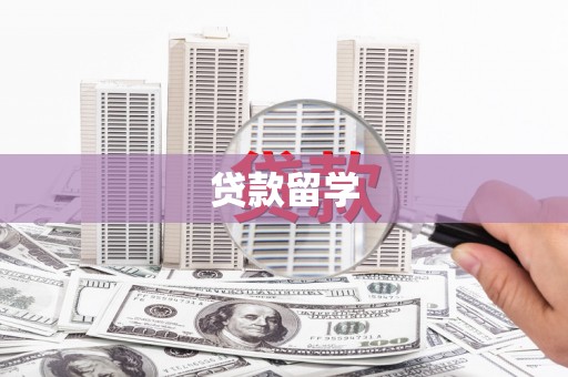 资中贷款留学