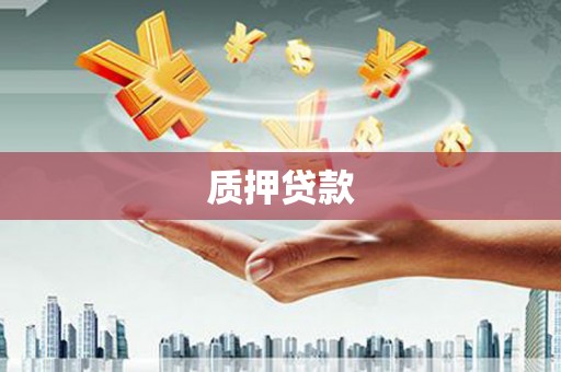 资中质押贷款