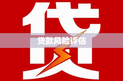 资中贷款风险评估