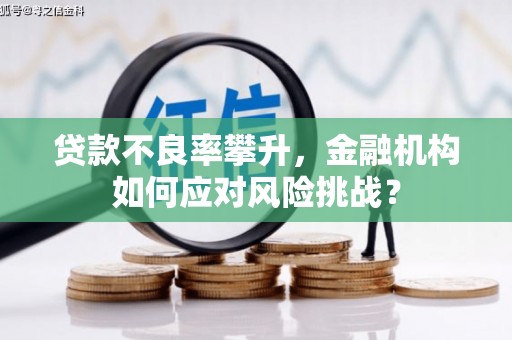 资中贷款不良率攀升，金融机构如何应对风险挑战？