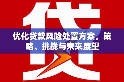 资中优化贷款风险处置方案，策略、挑战与未来展望