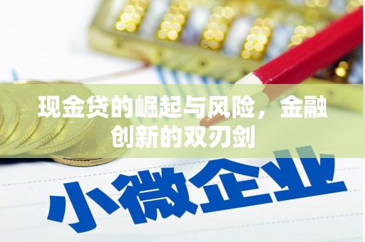 资中现金贷的崛起与风险，金融创新的双刃剑