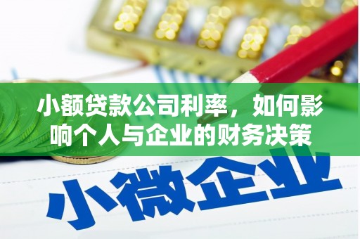 资中小额贷款公司利率，如何影响个人与企业的财务决策