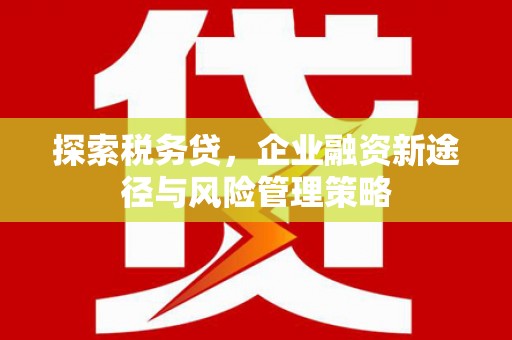 资中探索税务贷，企业融资新途径与风险管理策略