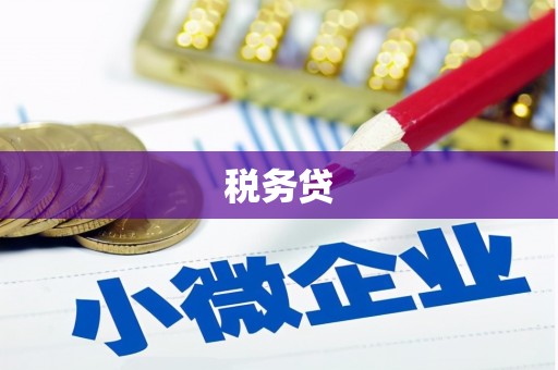 资中税务贷