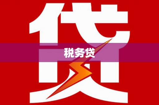 资中税务贷