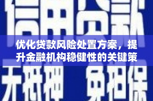 资中优化贷款风险处置方案，提升金融机构稳健性的关键策略