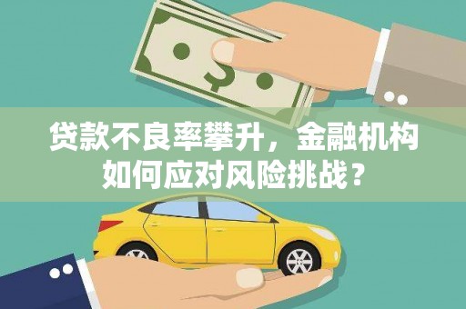 资中贷款不良率攀升，金融机构如何应对风险挑战？