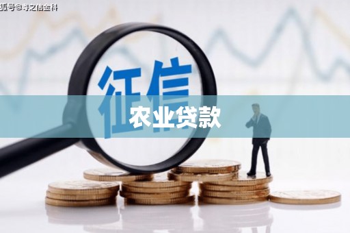 资中农业贷款