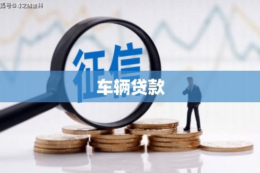资中车辆贷款