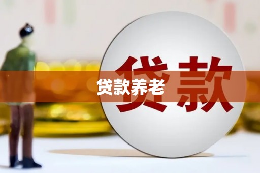 资中贷款养老