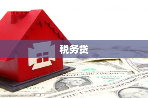 资中税务贷