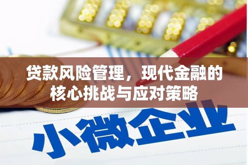 资中贷款风险管理，现代金融的核心挑战与应对策略
