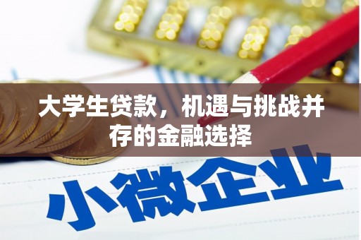 资中大学生贷款，机遇与挑战并存的金融选择