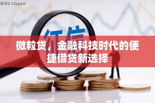 资中微粒贷，金融科技时代的便捷借贷新选择
