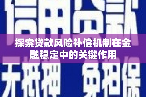 资中探索贷款风险补偿机制在金融稳定中的关键作用