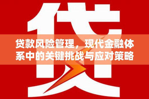 资中贷款风险管理，现代金融体系中的关键挑战与应对策略