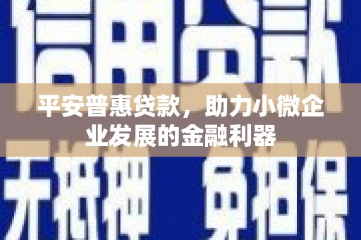 资中平安普惠贷款，助力小微企业发展的金融利器