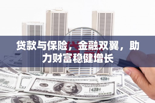 资中贷款与保险，金融双翼，助力财富稳健增长