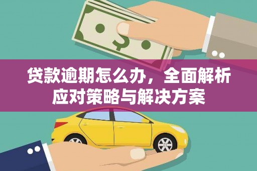资中贷款逾期怎么办，全面解析应对策略与解决方案